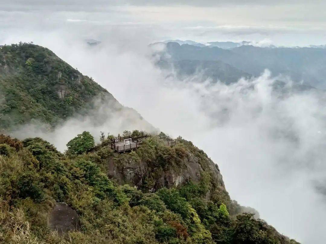 鼓岭柱里"拍了拍"你