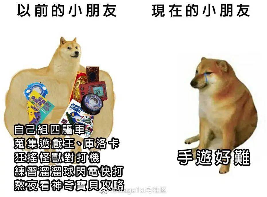 岛国柴犬表情包又火了,这次有被真实到_kabosu