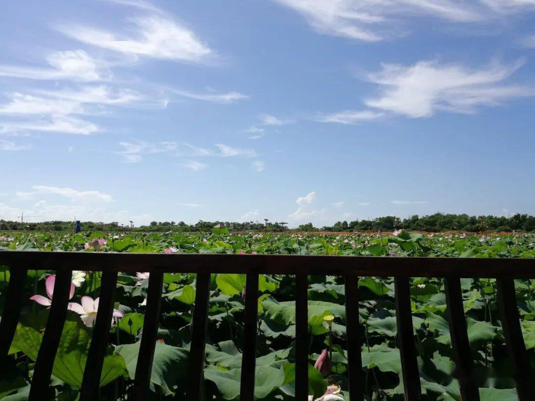 惠来沟疏湿地公园图片