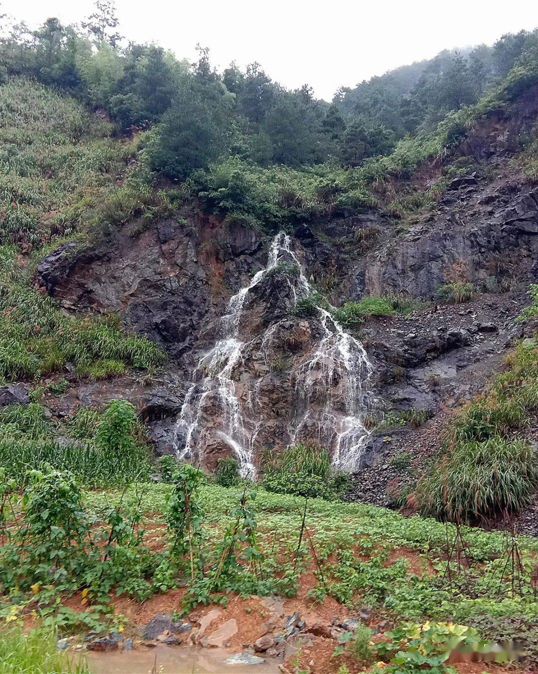 【歙县信息资讯】雄村雨后现人字瀑
