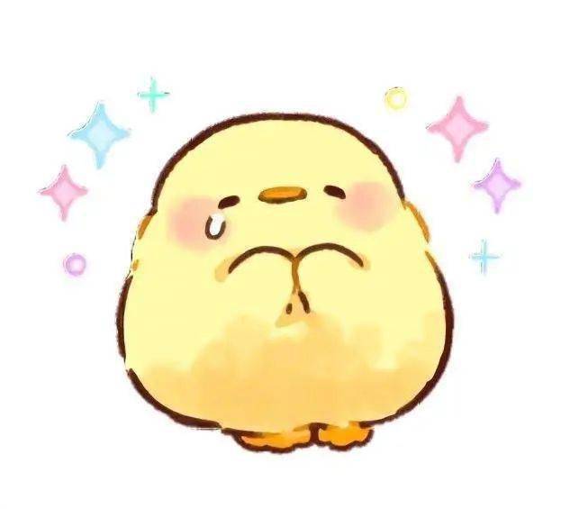 宠物插画 | 可爱的小肥啾,真的想捧在手心