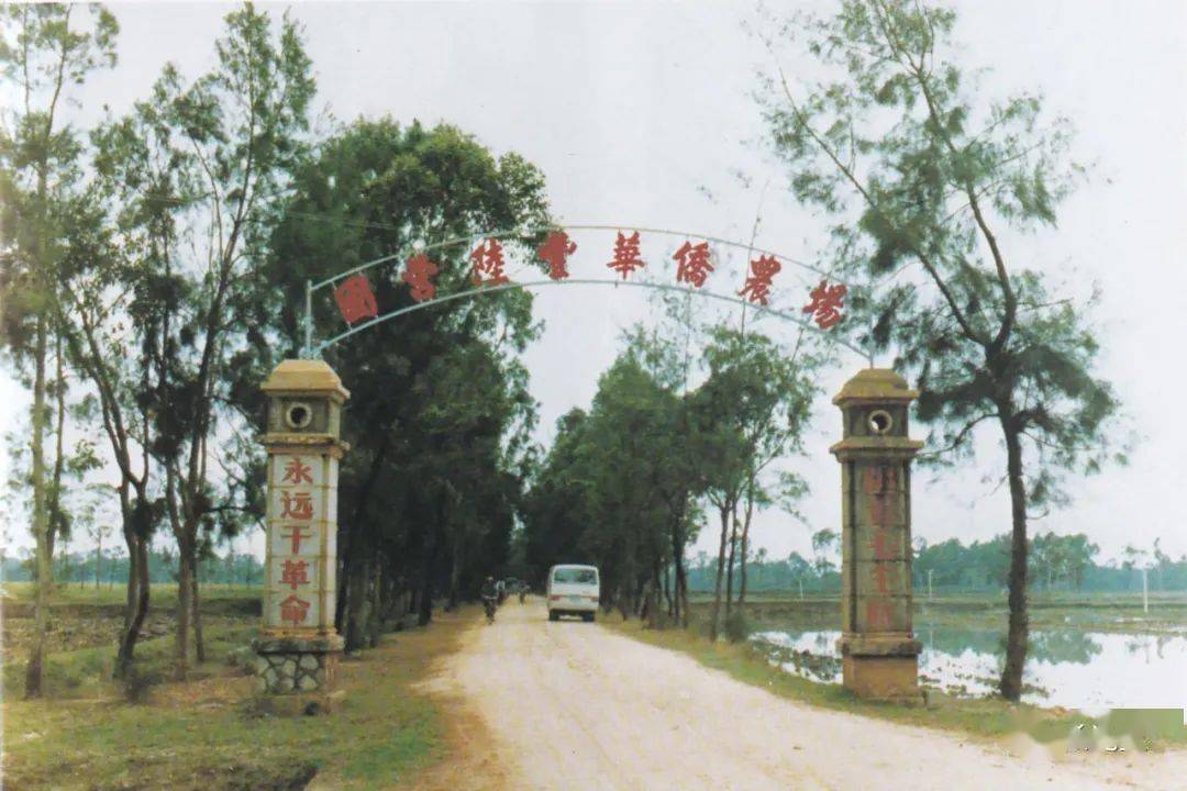 带你重回1980年的陆丰