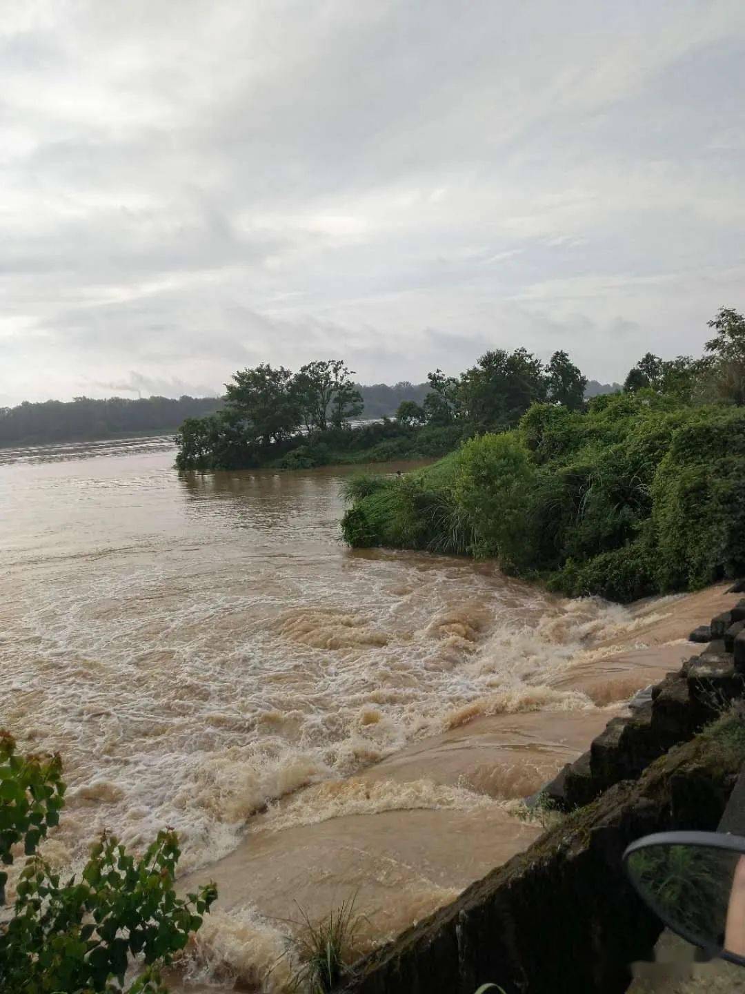实拍暴雨后的黄金埠信江河开启新一轮涨水模式