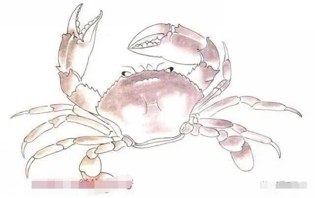 工笔螃蟹画法步骤详解螃蟹的构图白描稿