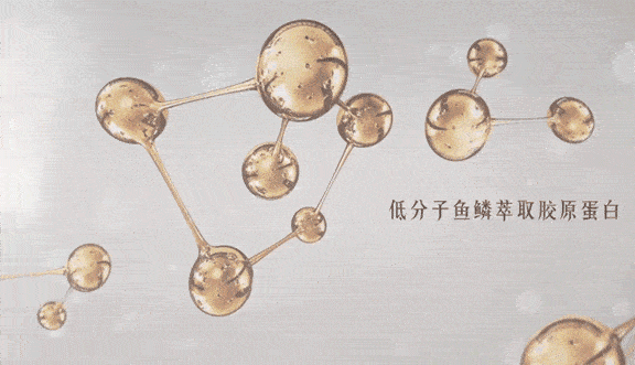 mhd所含的水解胶原蛋白肽是从太平洋野生冷水鱼中精制提纯的,它的分子