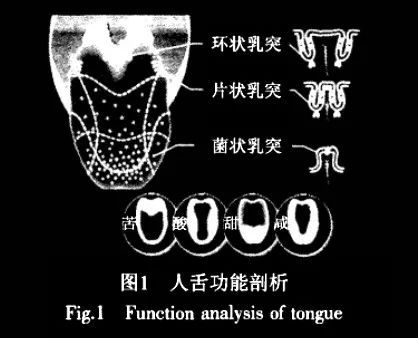 酸,甜,苦,鹹的