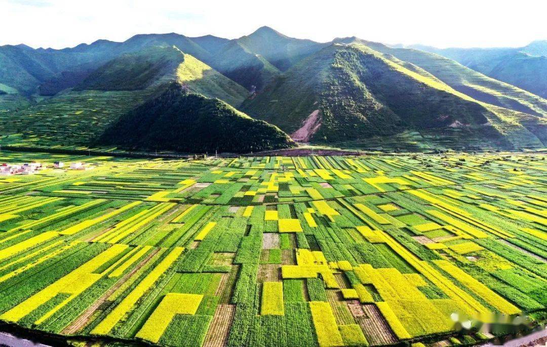 近日,岷縣首屆賞