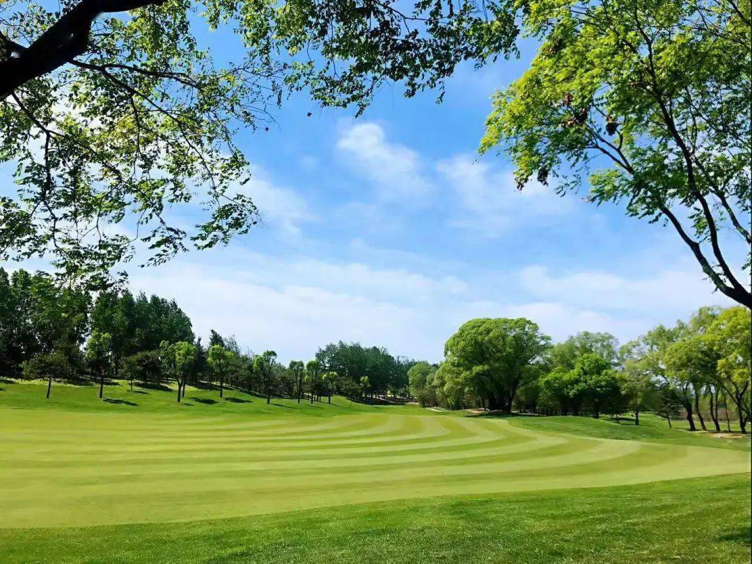 2020东方天星青少年高尔夫夏令营开始招募啦!