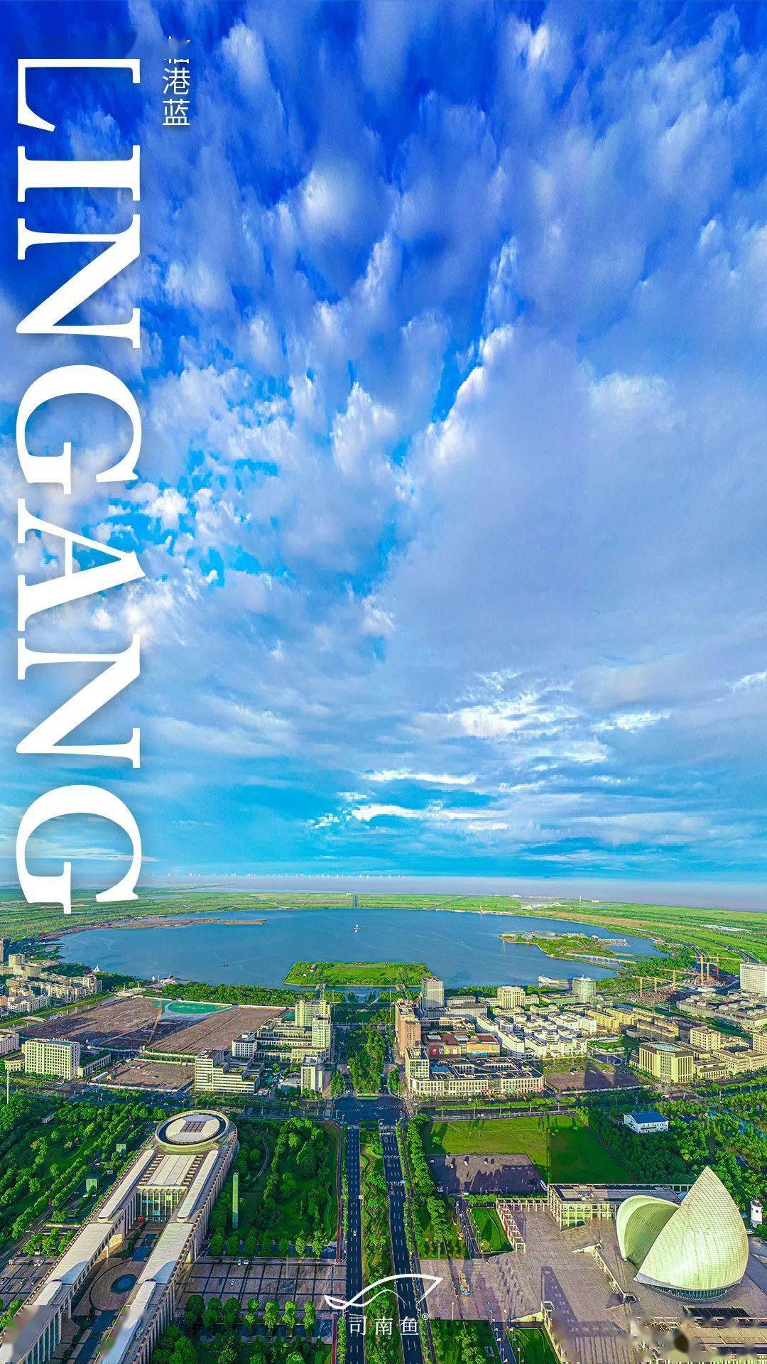 又见临港蓝美爆了