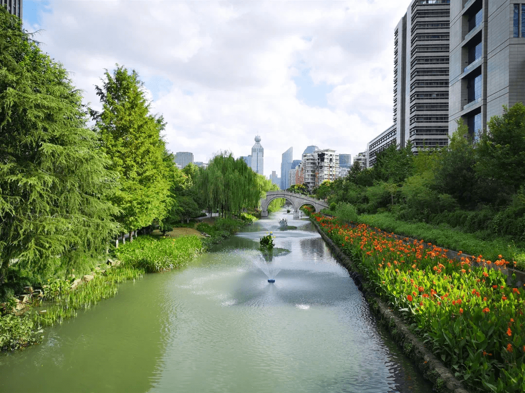 白天赏水景,晚上看夜景,上城这条"最年轻"的河道越变越"靓"