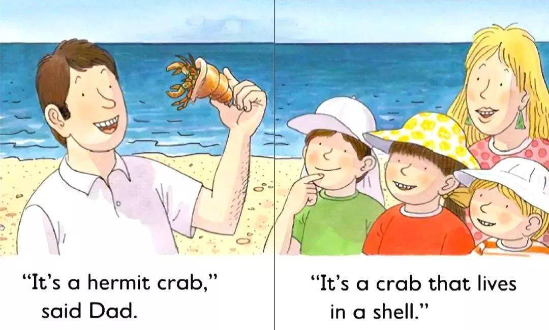 its a hermit crab," said dad."它是一只寄居蟹,"爸爸说.