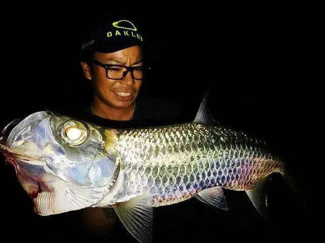 不得不感叹,大自然真是最大胆的艺术家,培养出的鱼一个比一个不像活物