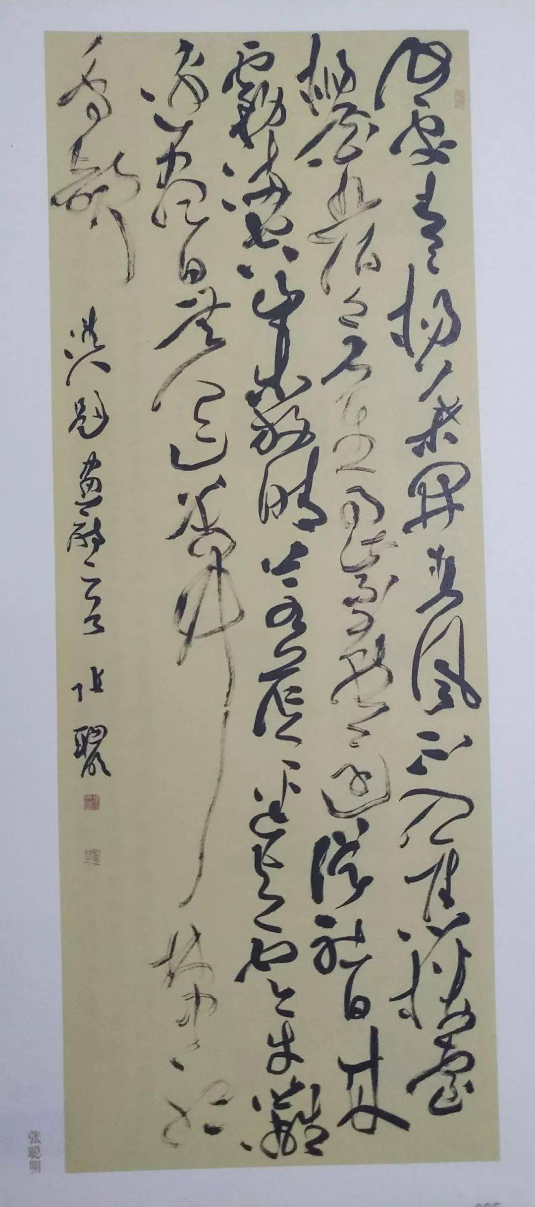 林海参福建 范泰和重庆 张逸重庆 尹义桐重庆 余满生重庆 许超重庆