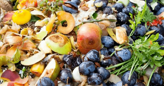 易腐垃圾危害多如何让它变废为宝