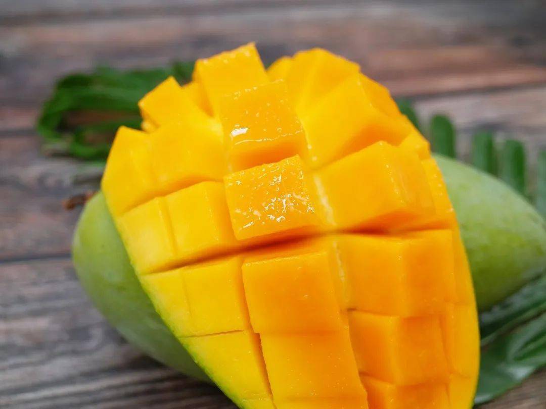 浓香桂七芒:绿色外表的骗子,其实比谁都甜