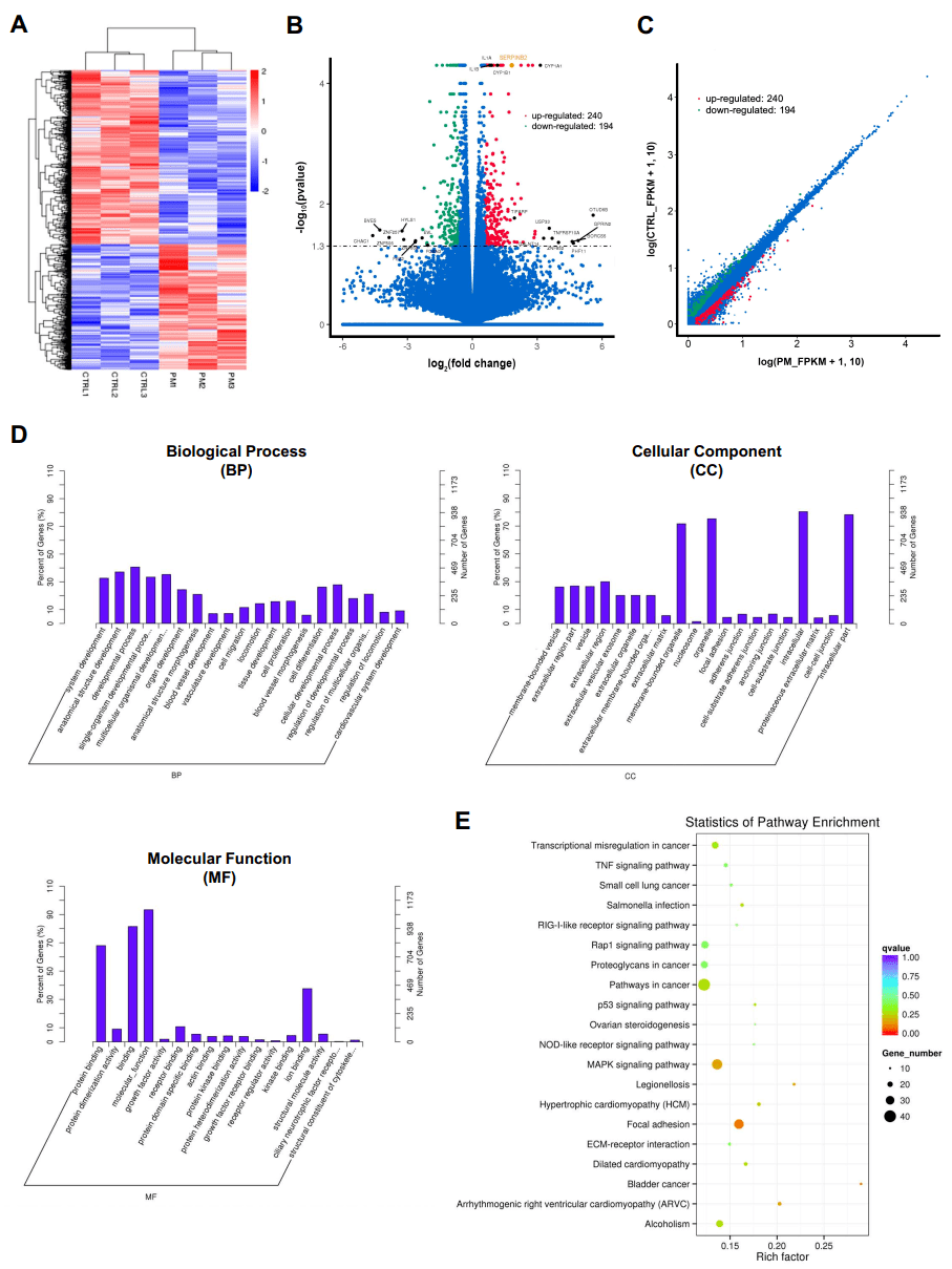 暴露于空气中pm25的人角膜上皮细胞的转录组分析