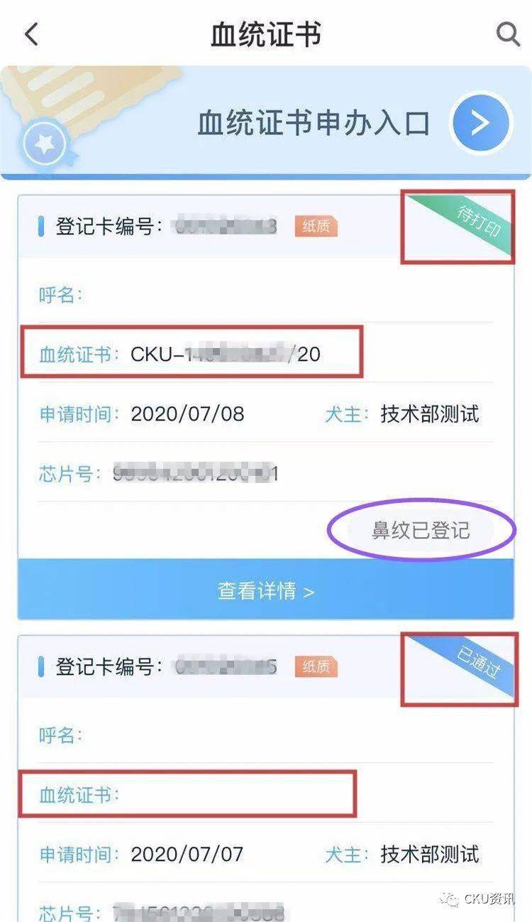 cku血统证书办理图片