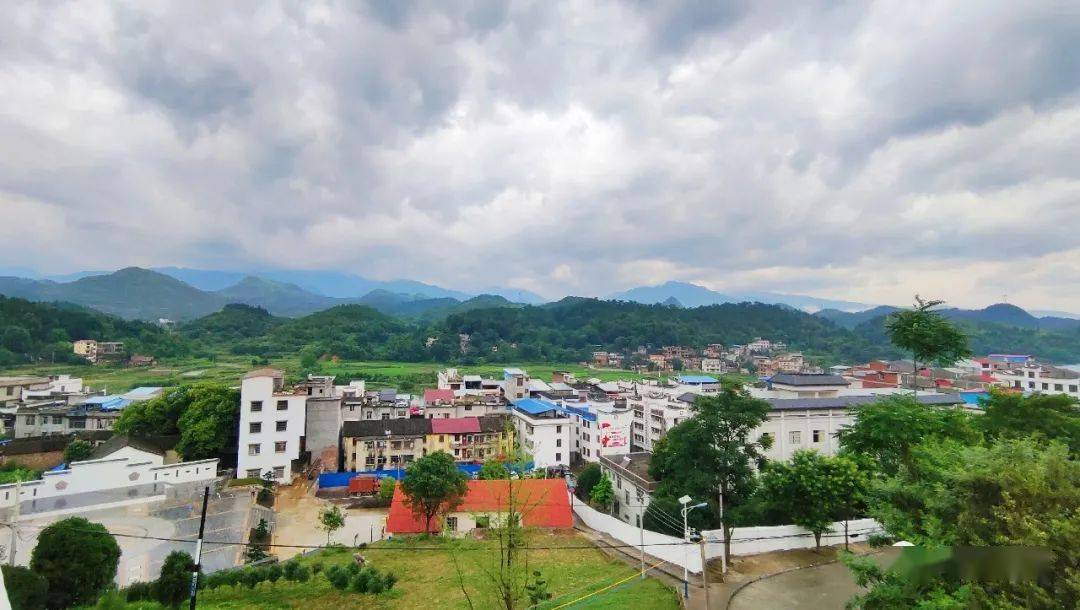 新时代文明实践新圩镇全员出动集中整治进退之间碧海蓝天