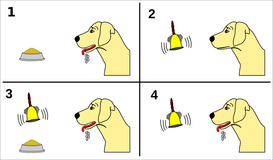 petrovich pavlov(巴甫洛夫)在研究环境刺激与唾液分泌之间关系的实验