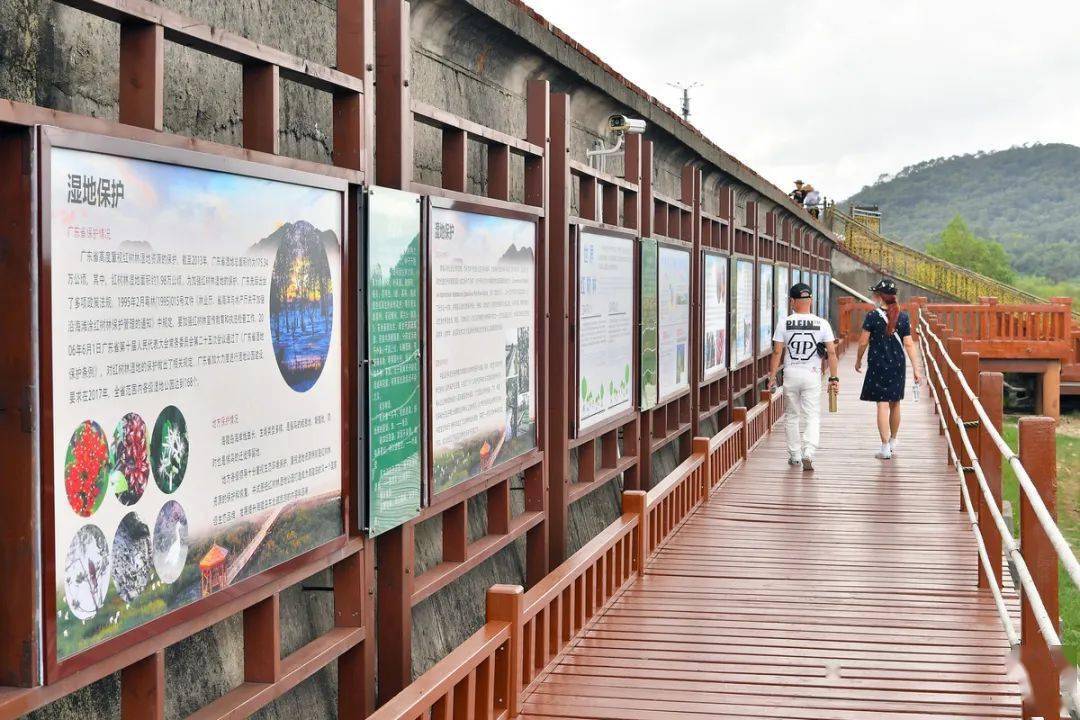 超美,省级自然教育基地就在家门口!这个周末,你不去自然一夏吗?_湿地