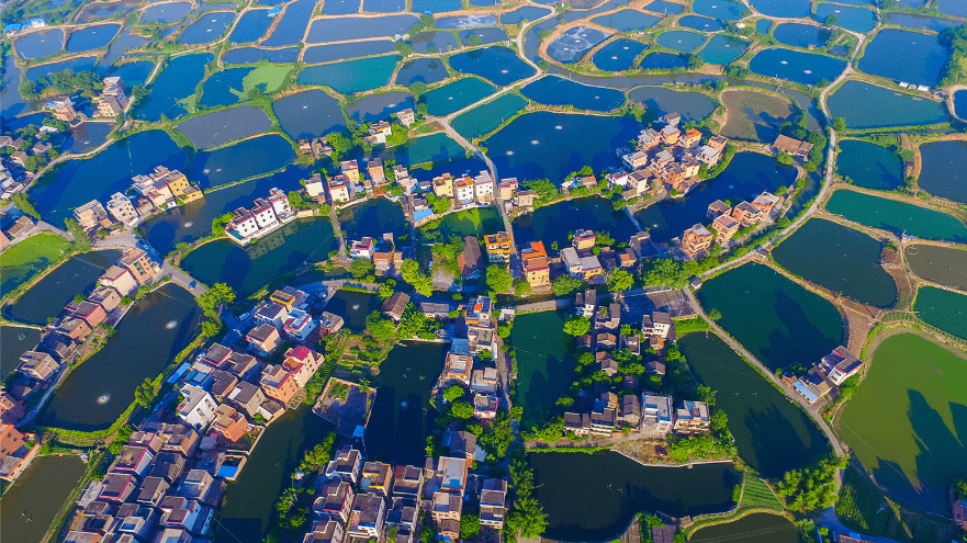 登上学习强国全国平台【广东佛山:留住桑基鱼塘,守护绿水青山】