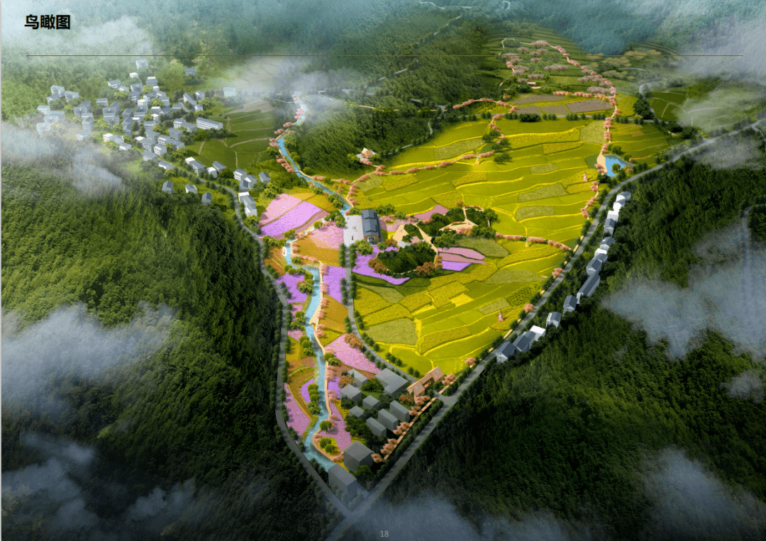 一把手谈周壤镇党委书记刘丽丹精心谋事潜心干事攻坚成事全力以赴增进