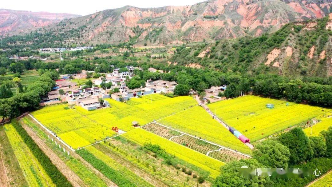 【图看】脱贫后临夏市乡村振兴发展之美