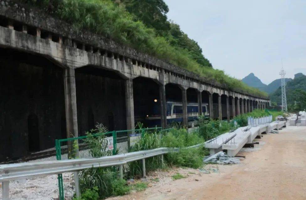 棚洞上覆盖了3米左右土层,日积月累还有不少植被在上面生长,能很好起