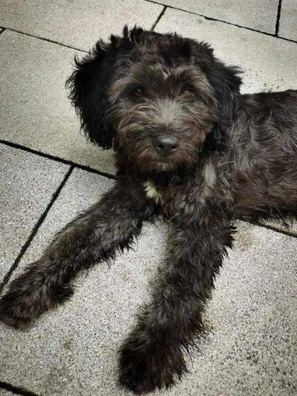 蓝丝带在迪美和你一起度过一个暖心周末