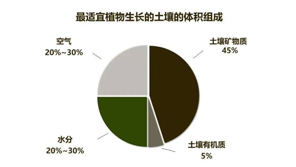 土壤由矿物质和腐殖质组成的,固体土粒是土壤的主体,约占土壤体积的50