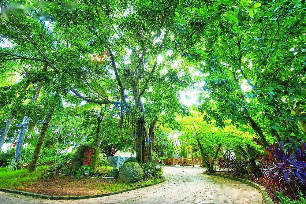 又有16个村入选,海南全国乡村旅游重点村增至24个,个个都是桃花源!