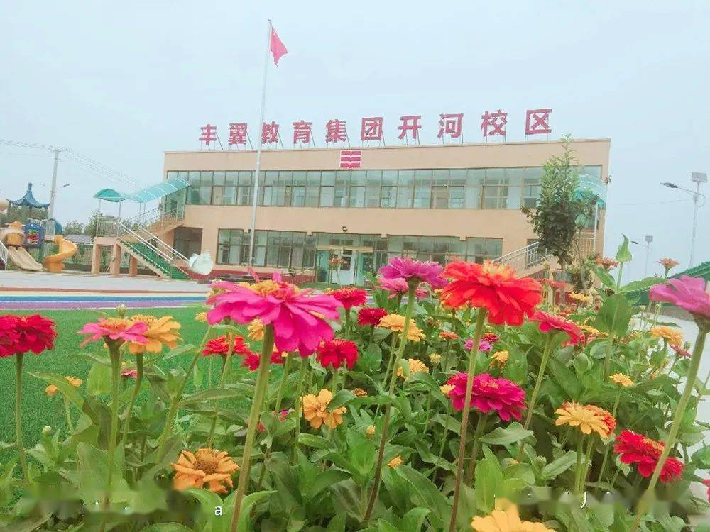 南宫丰翼小学图片