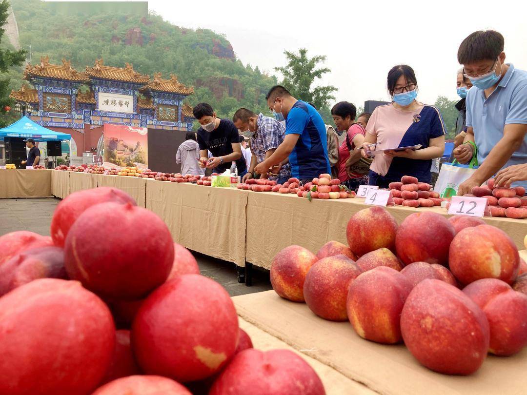 小镇蟠桃会 主打诚信牌