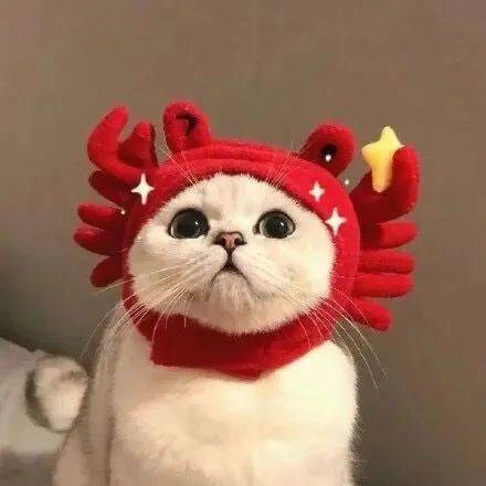 100张个性微信头像