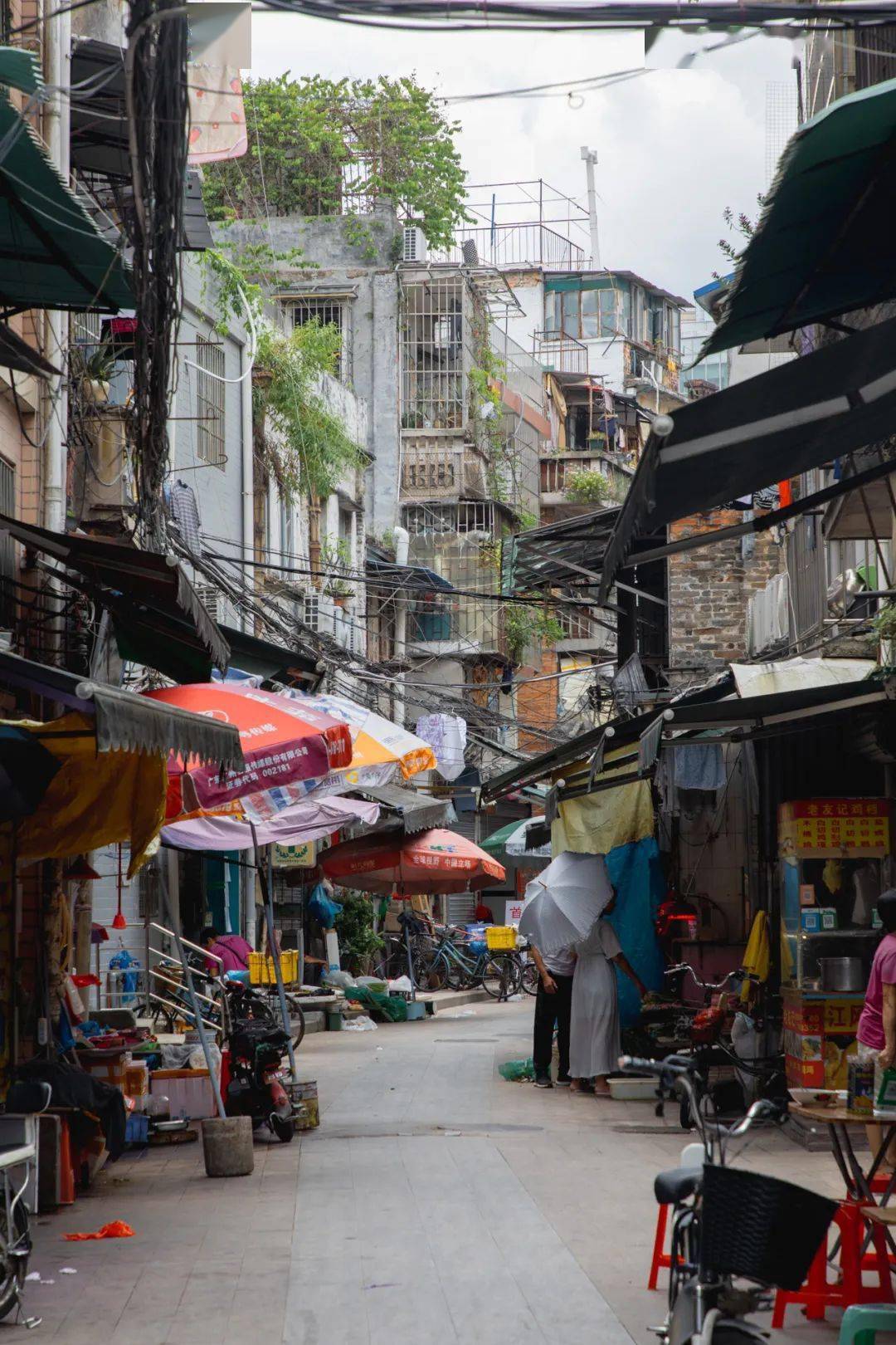 越秀区这条木排头惊艳了岁月却很少老广知道