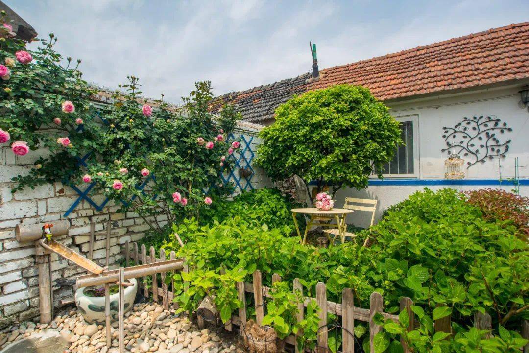 【关注】美翻了!破旧农村小院变身"时光花房"