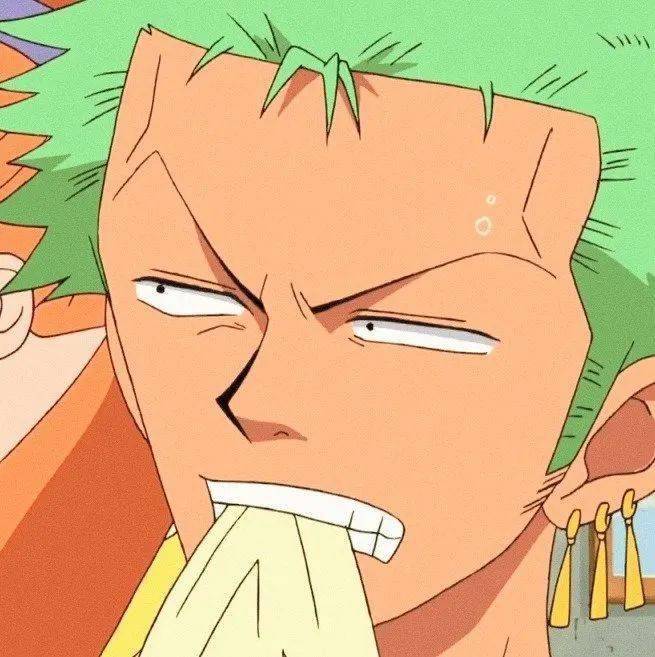 海贼王索隆头像_侵权