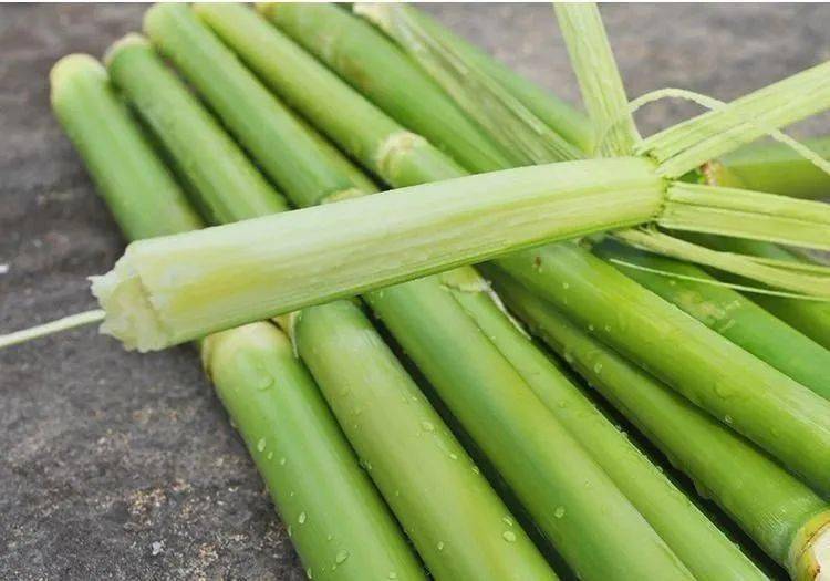 出来的"甜芦粟" 伴随着"咔吱咔吱"的嚼劲 嘴里不断爆出甘爽可口的汁水