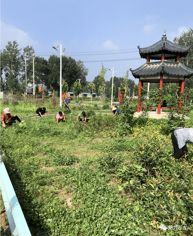 截至目前,万古镇共出动大型机械50余台次,清理垃圾80余吨,拆除违建