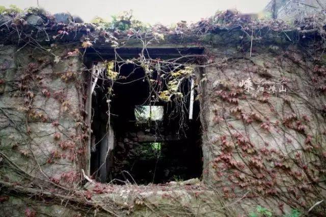 忽而天堂忽而恐怖片场这个被遗弃15年的小岛荒村成了现实版绿野仙踪