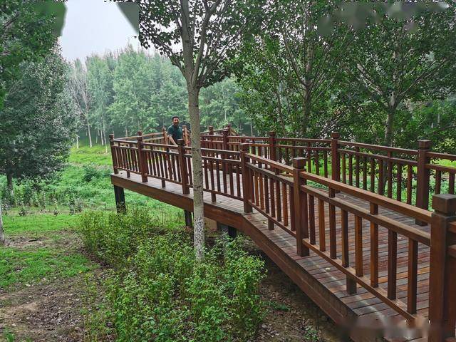 骑行者,滑板高手欢迎来炫技_场地