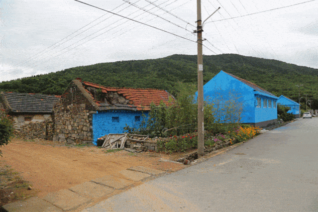 行风在线追踪关于宅科村畜禽粪便污染以及山东头村道路未硬化问题的