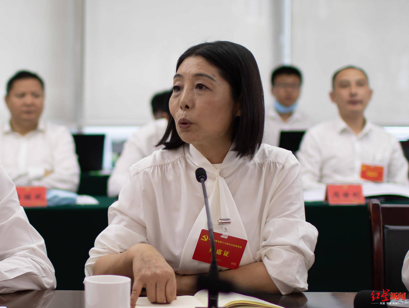 成都市委社治委:正起草公园社区规划导则及场景的指导性意见