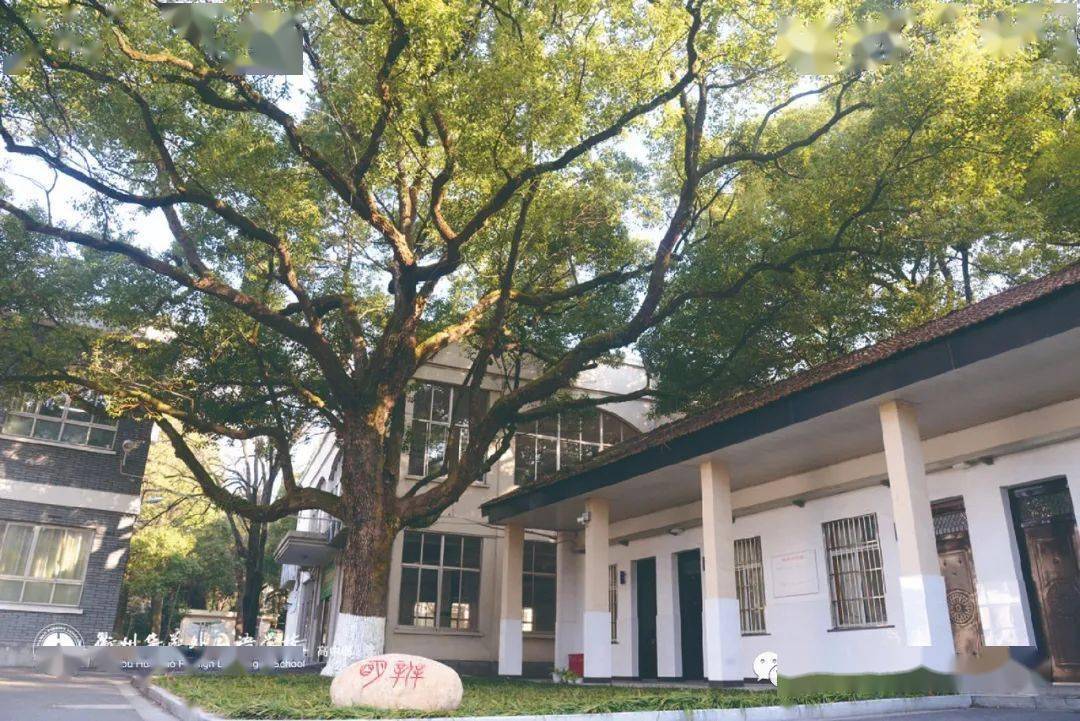 衢州二中衢州华高2020级新生录取通知请查收