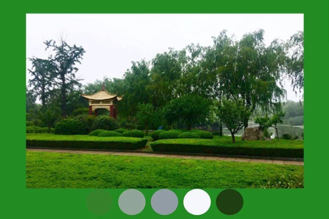 2020高考生送你21张临大专属风色卡