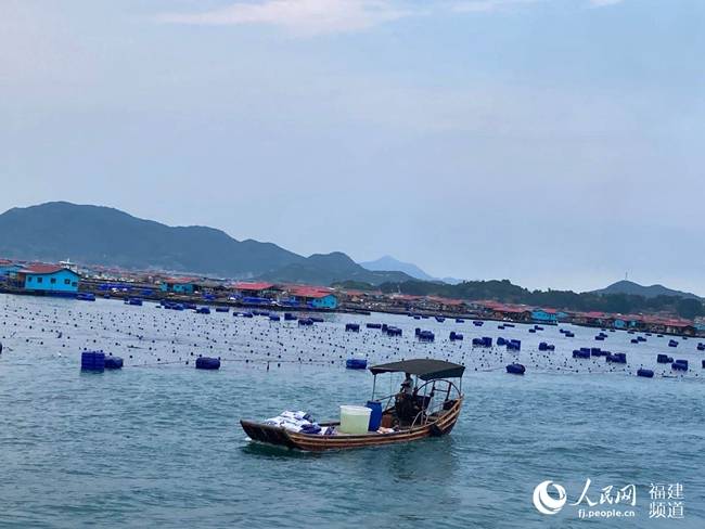 霞浦县溪南镇七星海域的渔排养殖区.人民网 吕春荣摄