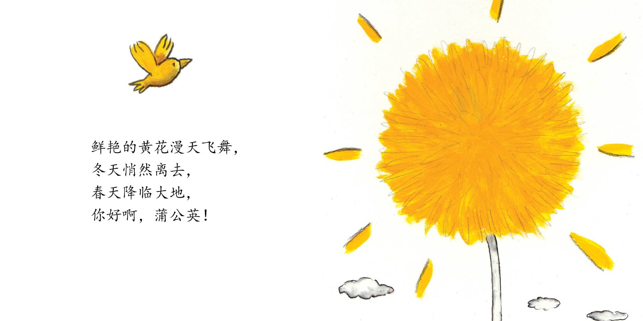 儿童绘本故事推荐《我的好朋友蒲公英》