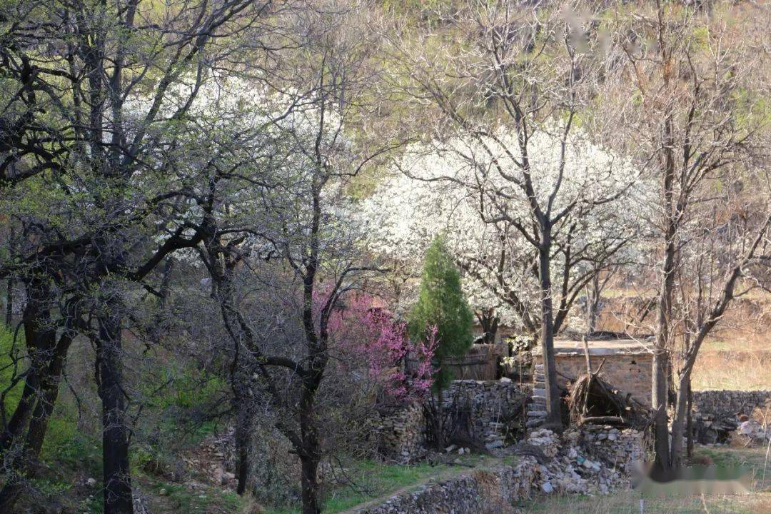 晋东边陲的红色经典古村——七亘_七亘村