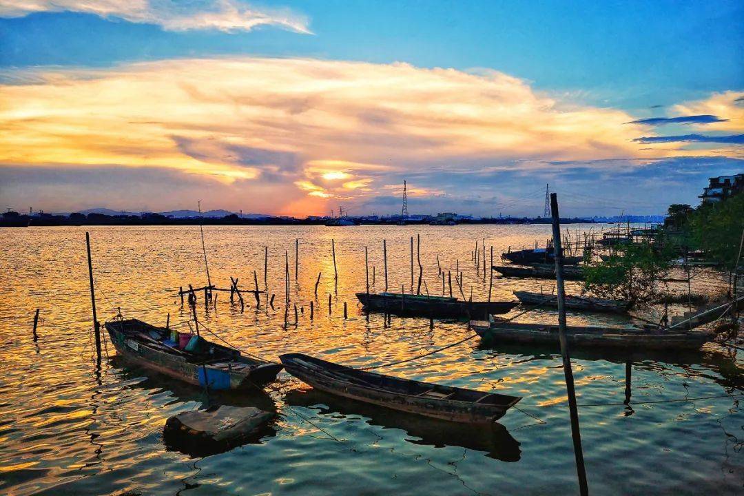 蟹香虾美鱼肥正当时来佛山赴一场北江寻鲜之旅