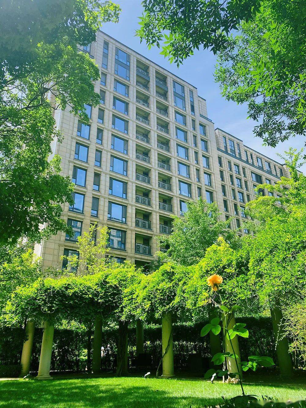 绿城桃源系环京首秀_北京